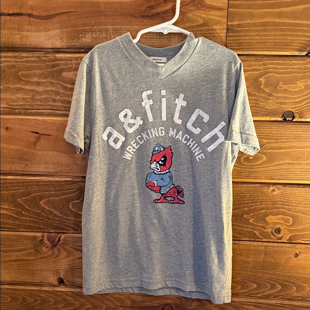 Abercrombie Kids Gray Graphic Tee